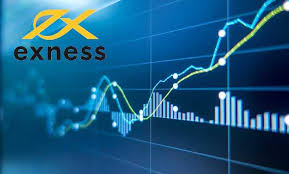 Comprehensive Overview of Exness Educational Resources Comprehensive Overview of Exness Educational Resources