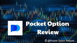 Everything You Need to Know About Pocket Option 20